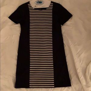 J. Crew Dress